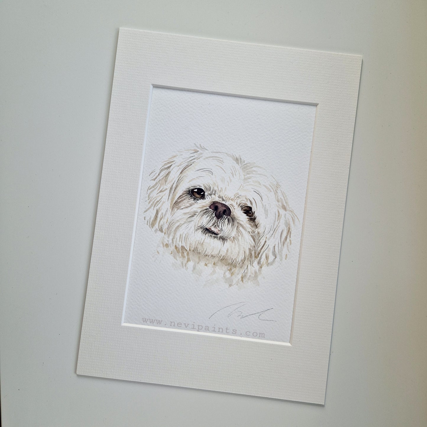 CUSTOM Pet Portrait