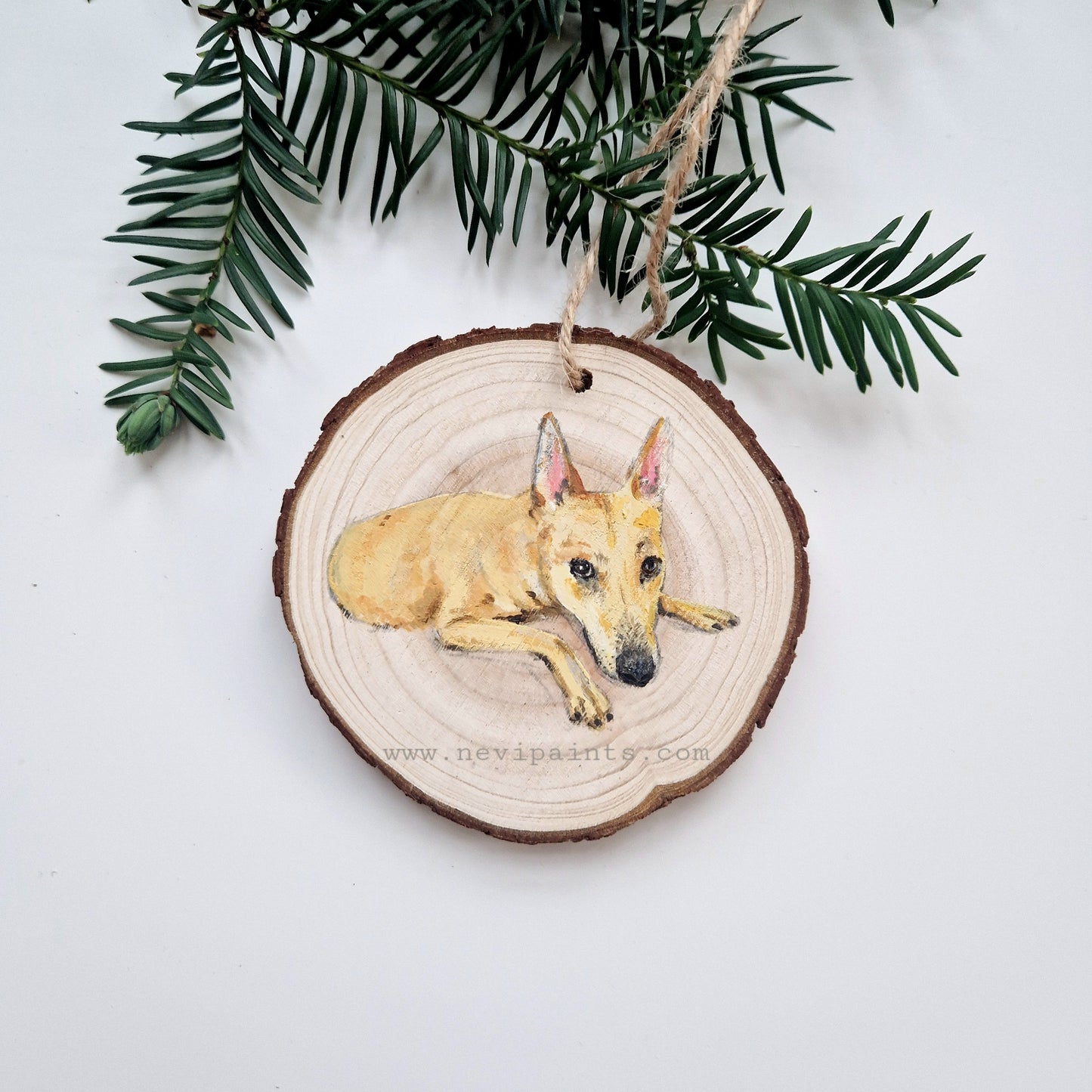 Hand-painted Christmas Bauble: CUSTOM Pet Portrait