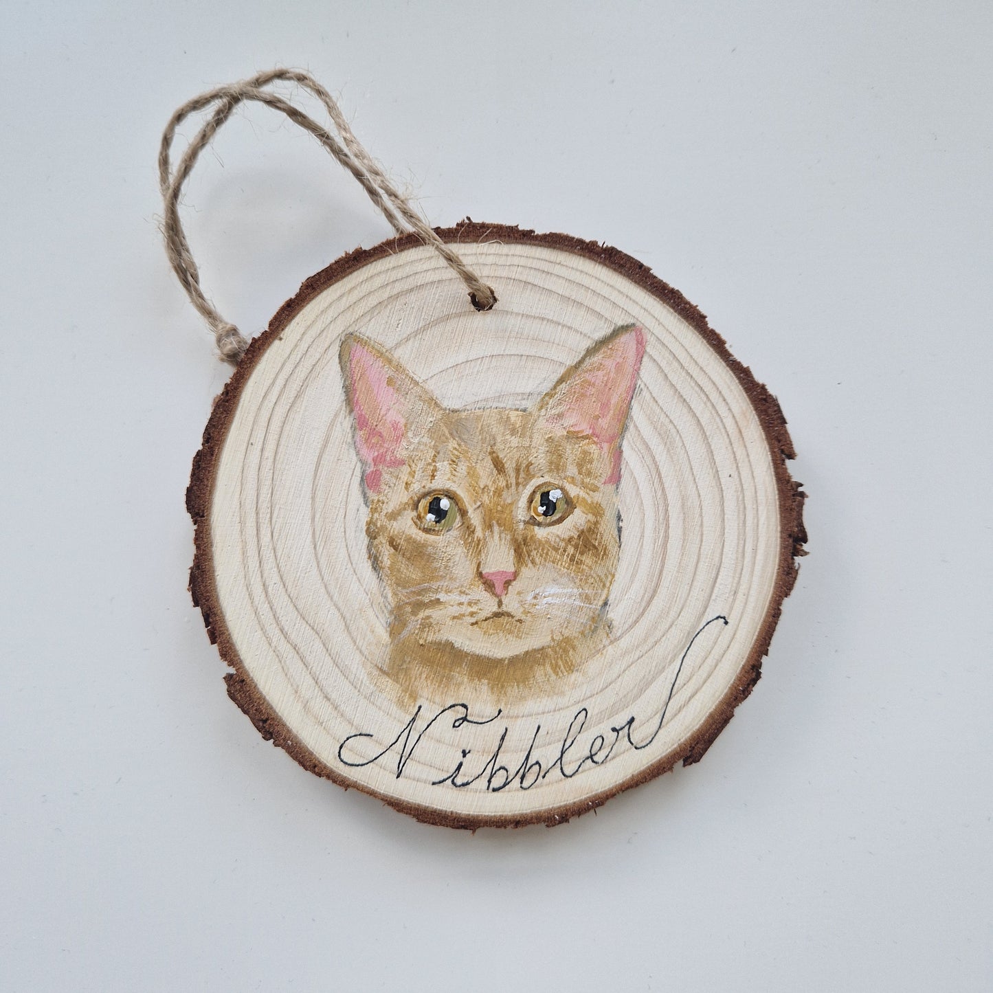 Hand-painted Christmas Bauble: CUSTOM Pet Portrait