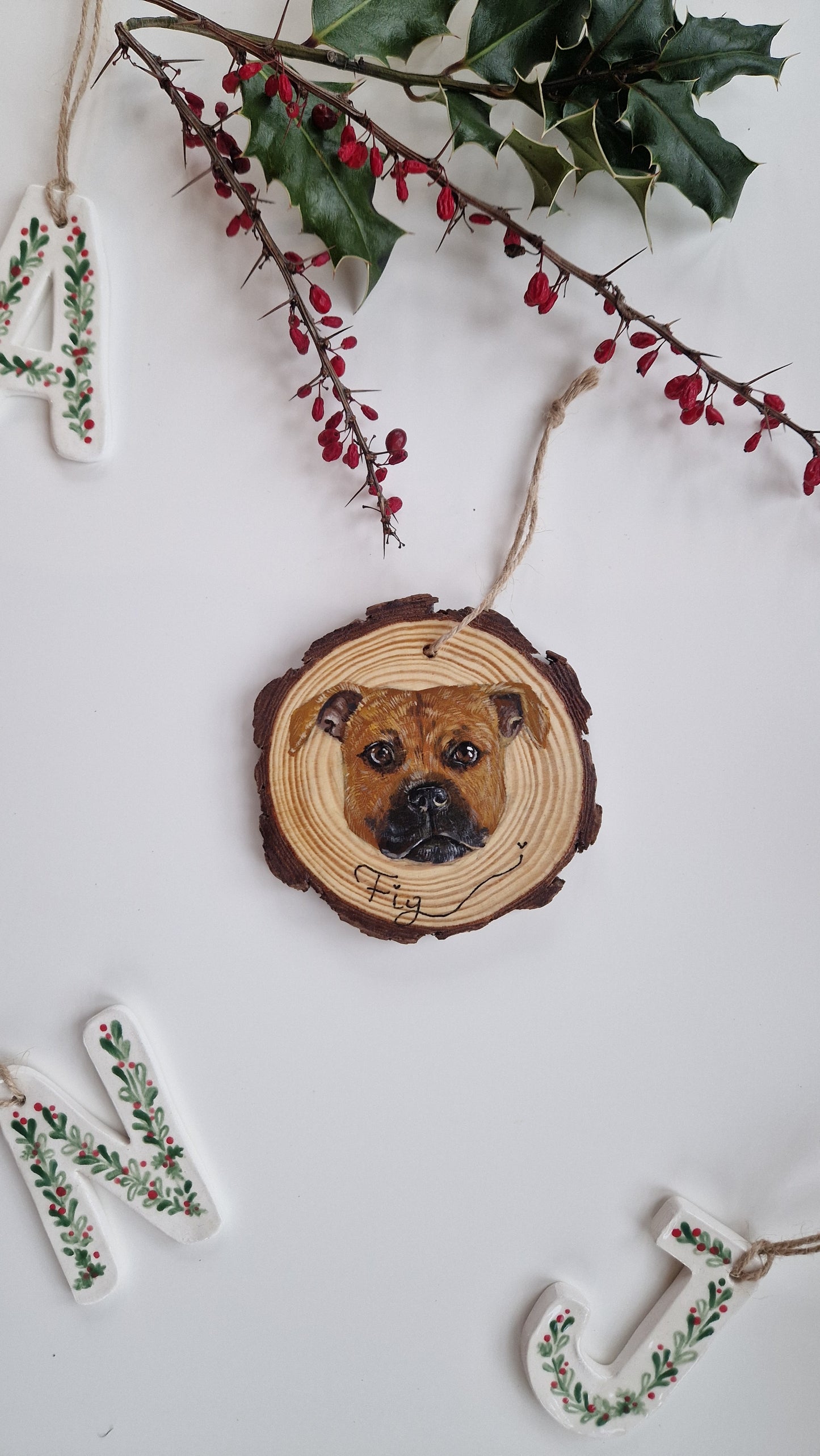 Hand-painted Christmas Bauble: CUSTOM Pet Portrait