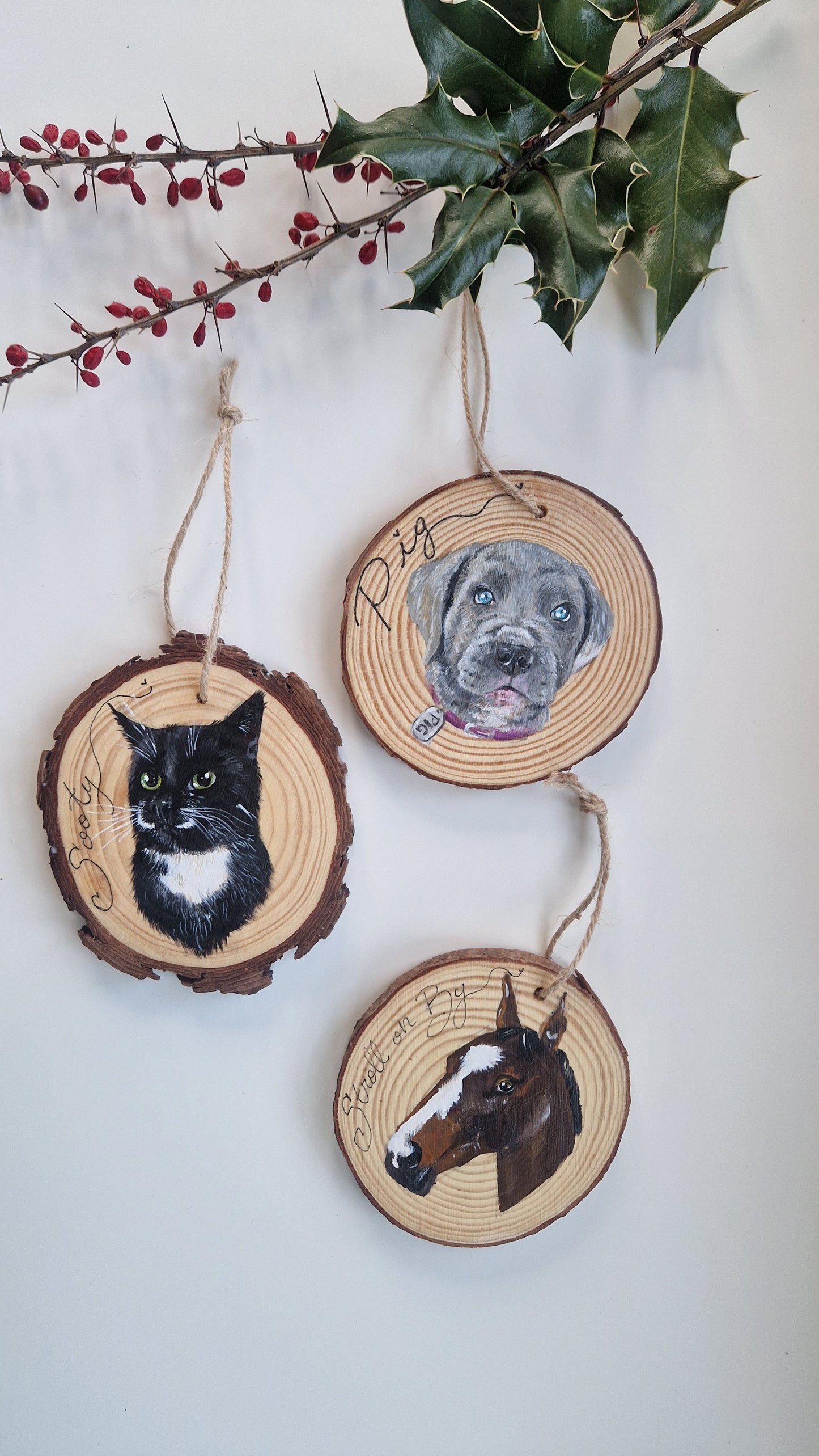 Hand-painted Christmas Bauble: CUSTOM Pet Portrait