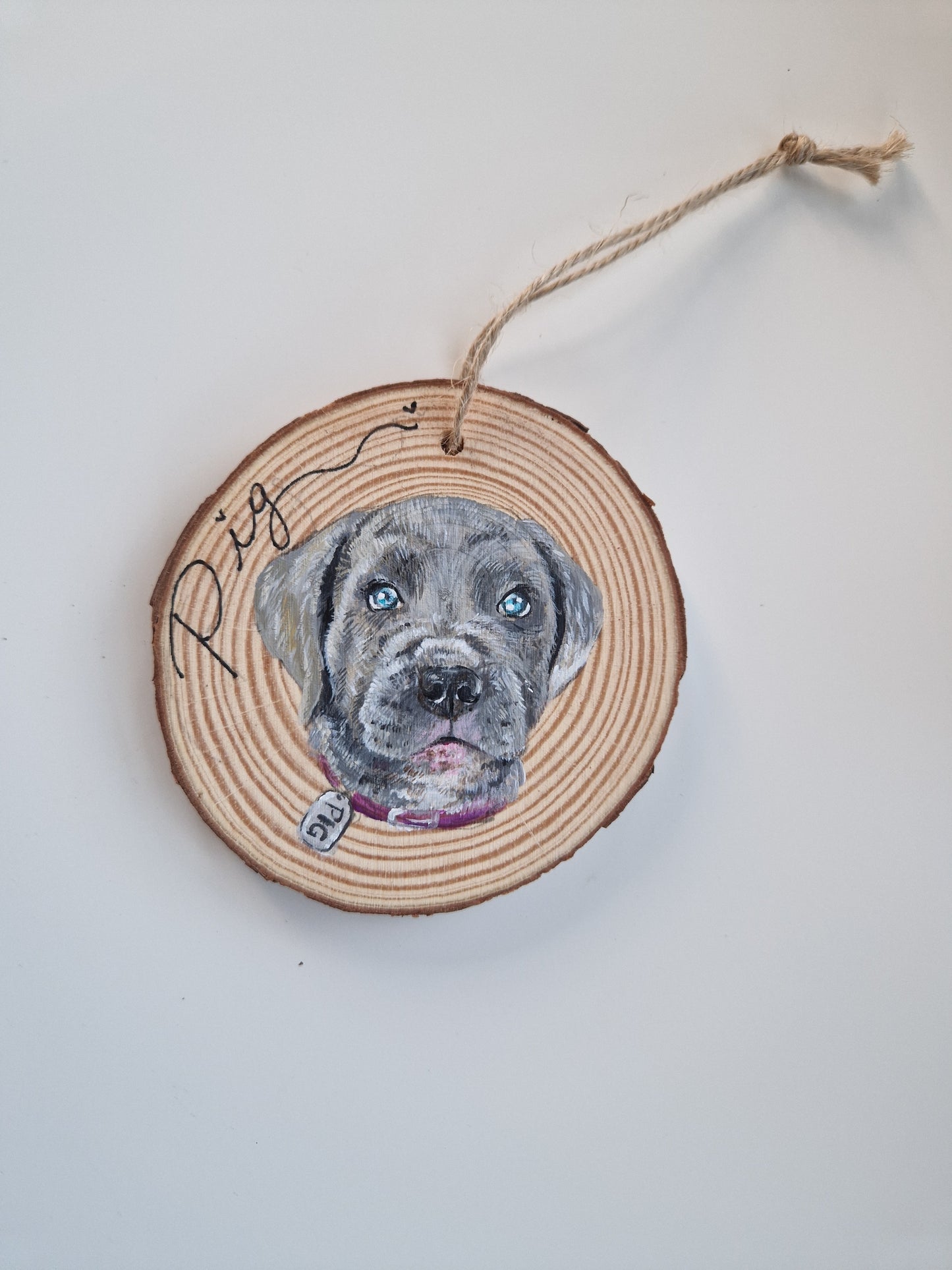 Hand-painted Christmas Bauble: CUSTOM Pet Portrait