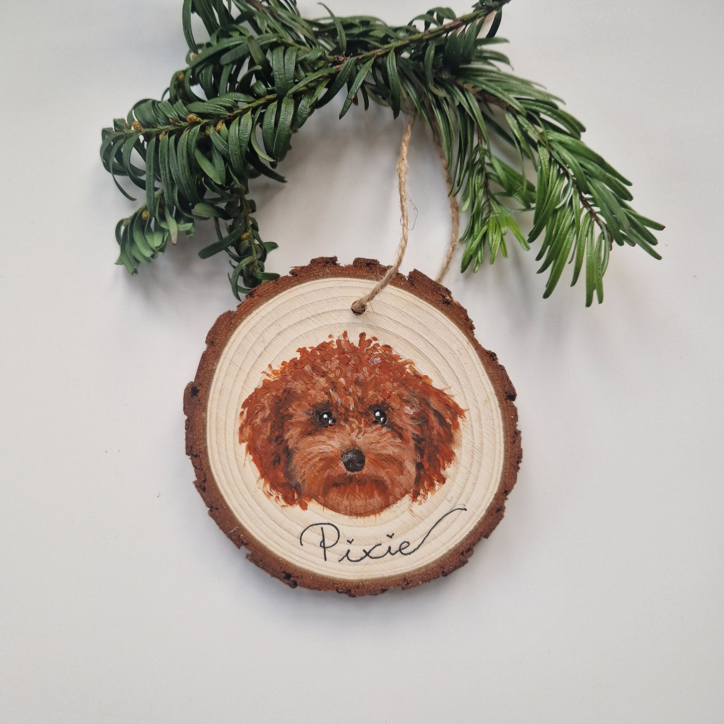 Hand-painted Christmas Bauble: CUSTOM Pet Portrait