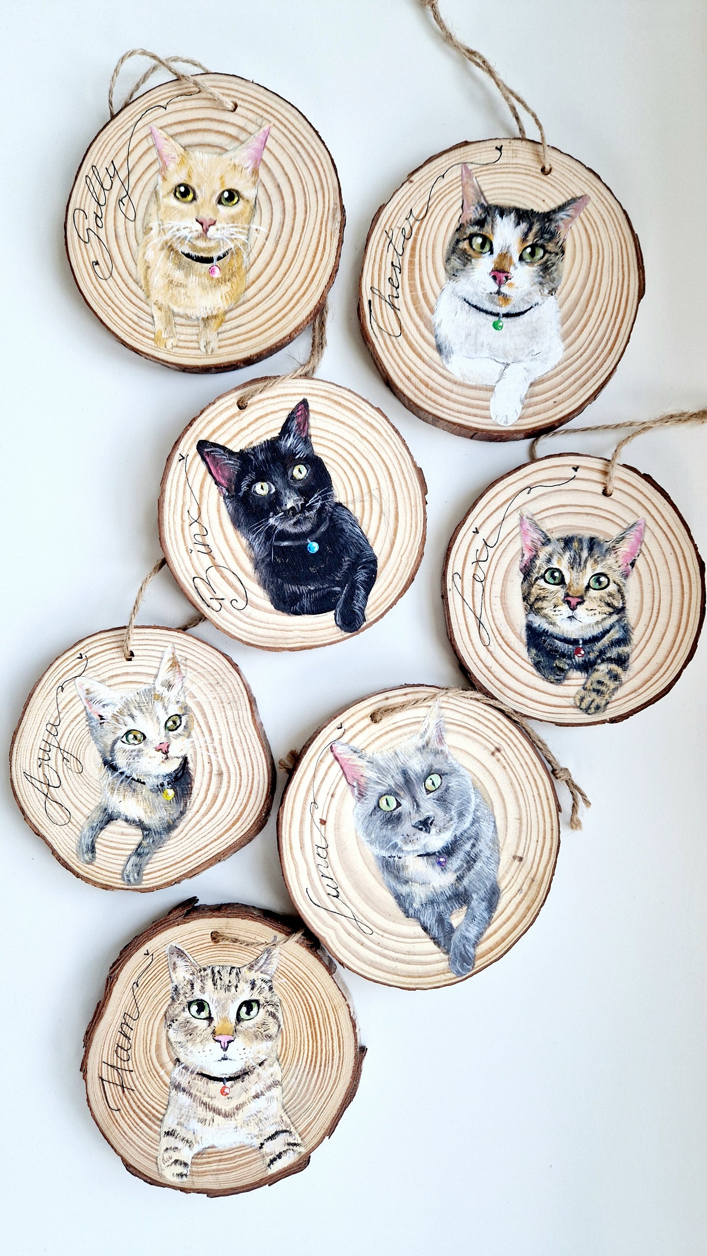 Hand-painted Christmas Bauble: CUSTOM Pet Portrait