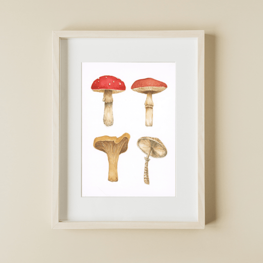 Mushrooms