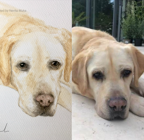 CUSTOM Pet Portrait